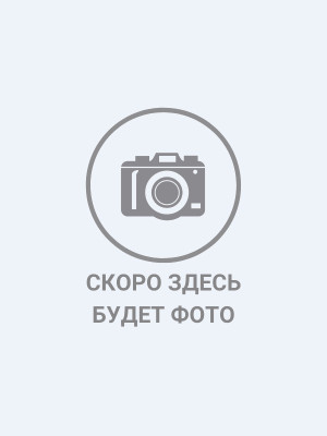 Шагиева Альфия Фаатовна.